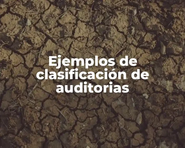 Ejemplos de clasificación de auditorias