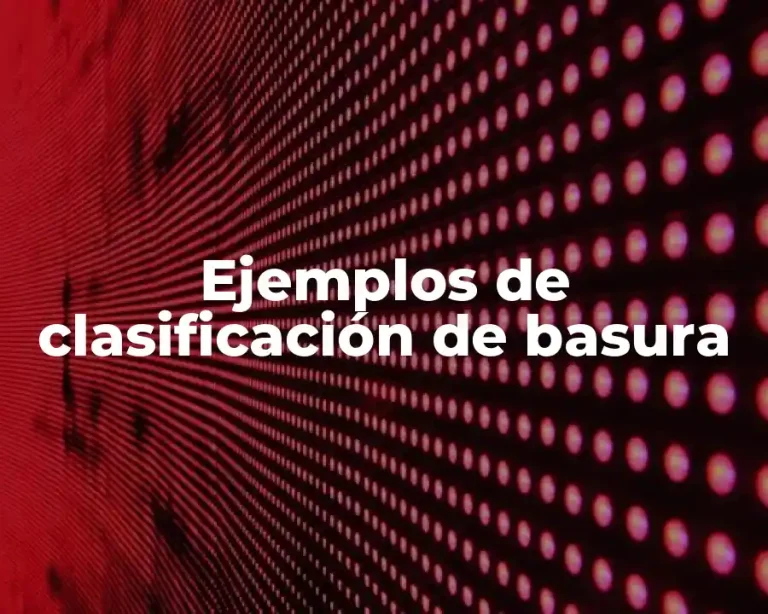 Ejemplos de clasificación de basura