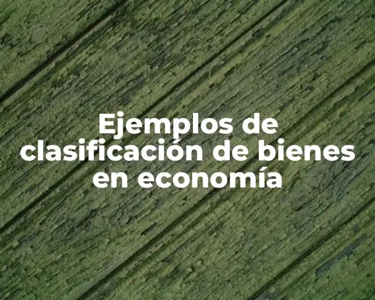Ejemplos de clasificación de bienes en economía