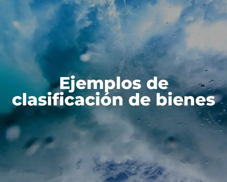 Ejemplos de clasificación de bienes