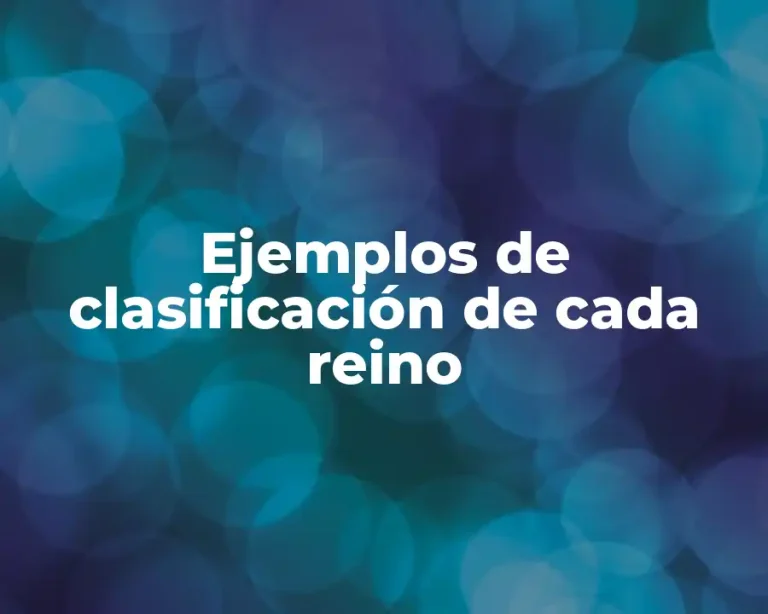 Ejemplos de clasificación de cada reino