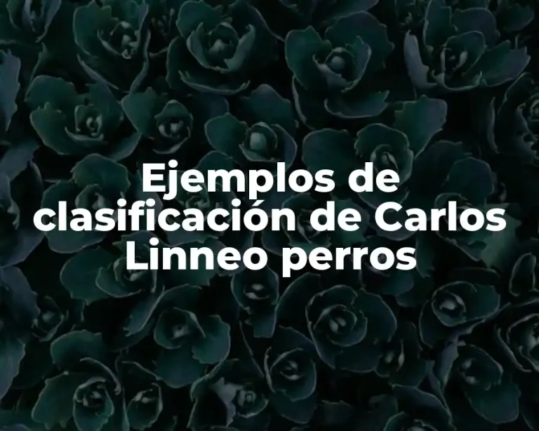 Ejemplos de clasificación de Carlos Linneo perros