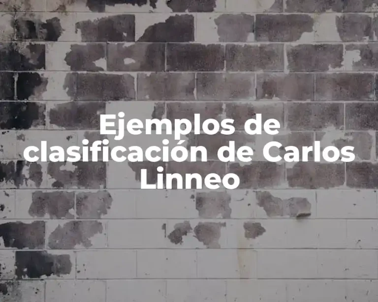 Ejemplos de clasificación de Carlos Linneo