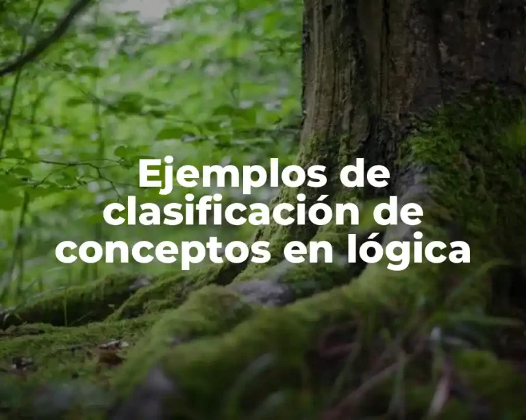 Ejemplos de clasificación de conceptos en lógica