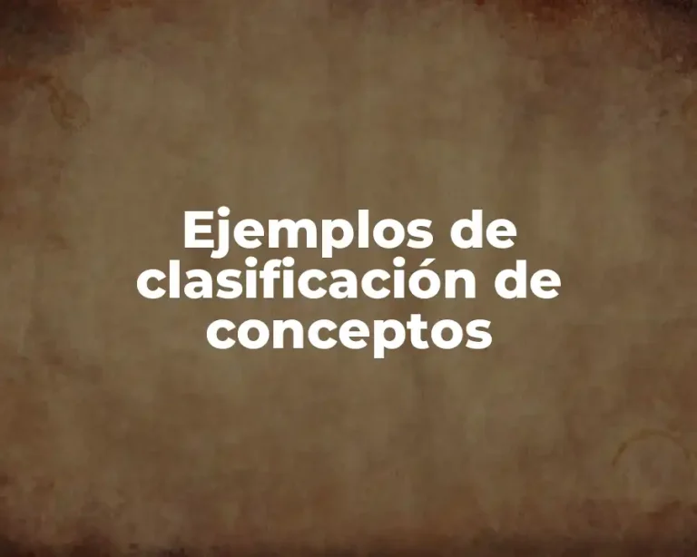 Ejemplos de clasificación de conceptos