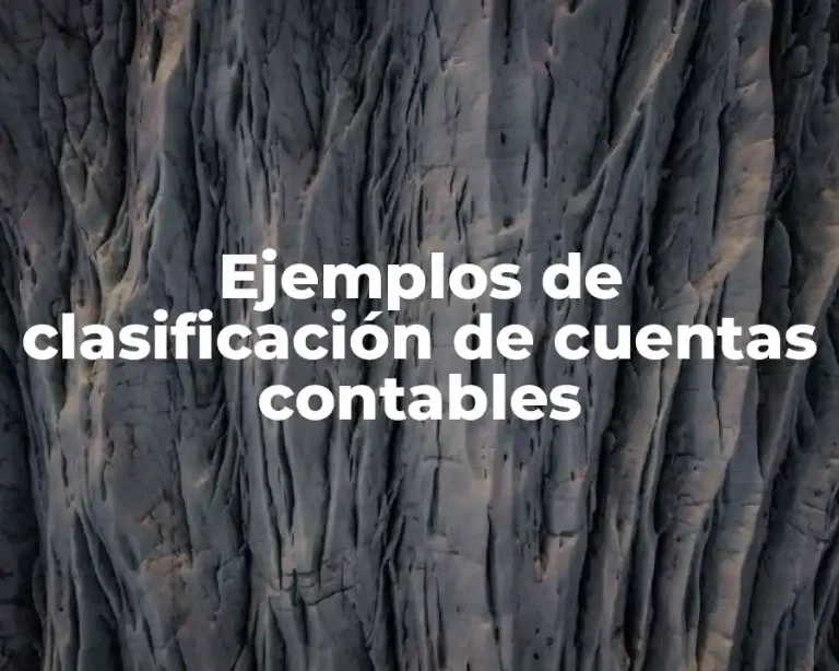 Ejemplos de clasificación de cuentas contables