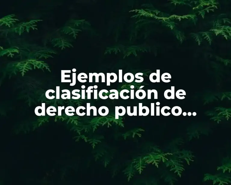 Ejemplos de clasificación de derecho publico privado y social