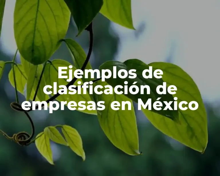 Ejemplos de clasificación de empresas en México