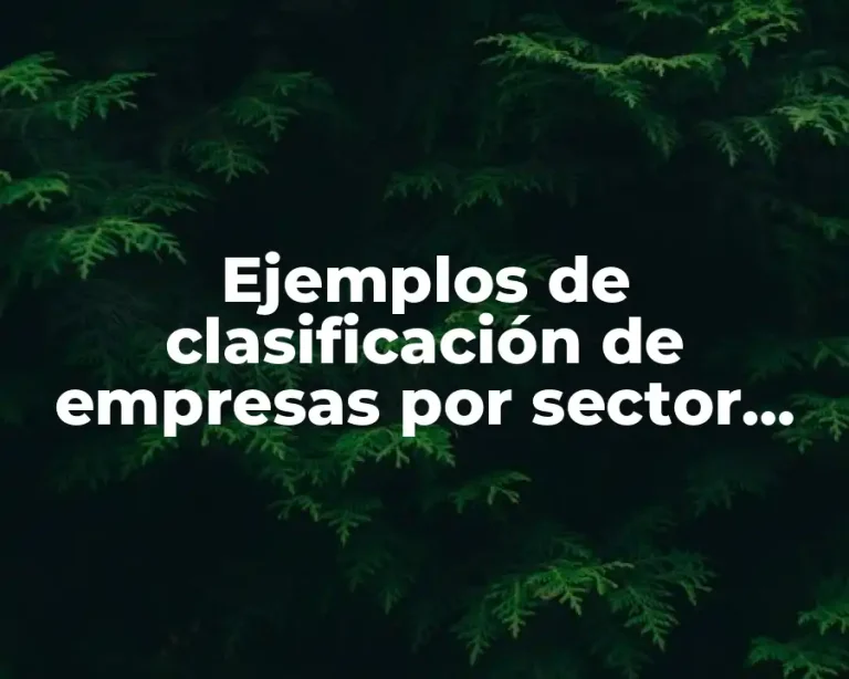 Ejemplos de clasificación de empresas por sector económico