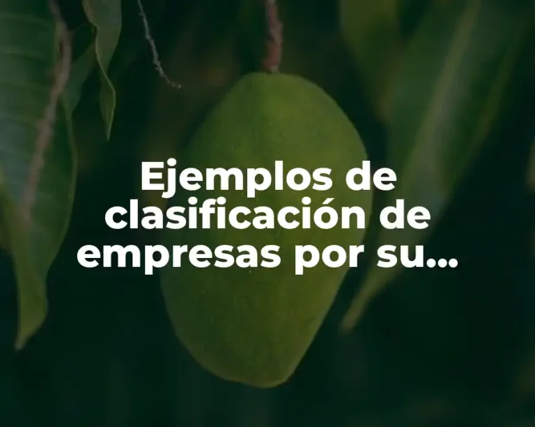 Ejemplos de clasificación de empresas por su constitución legal