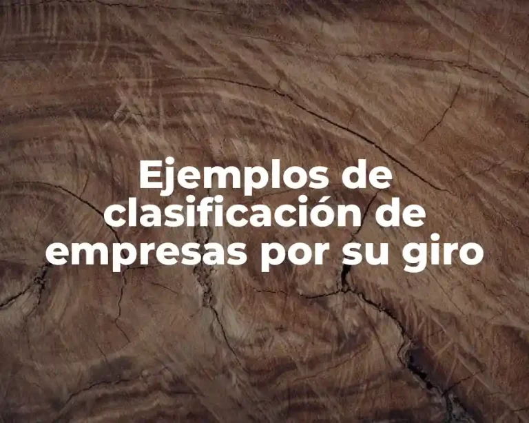 Ejemplos de clasificación de empresas por su giro