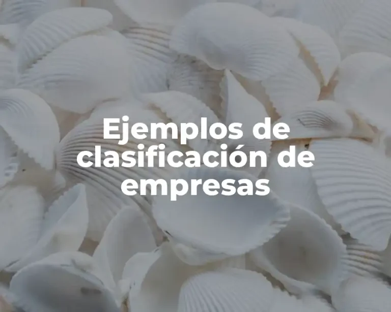 Ejemplos de clasificación de empresas
