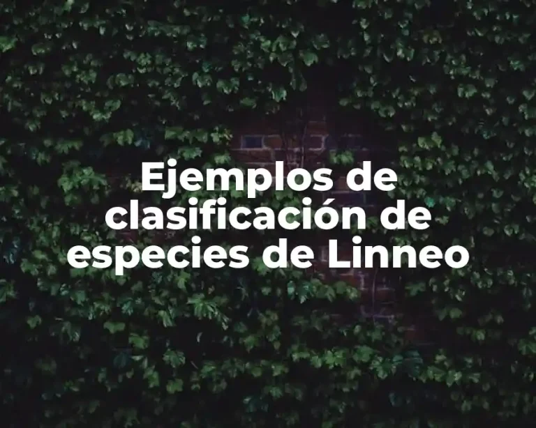 Ejemplos de clasificación de especies de Linneo