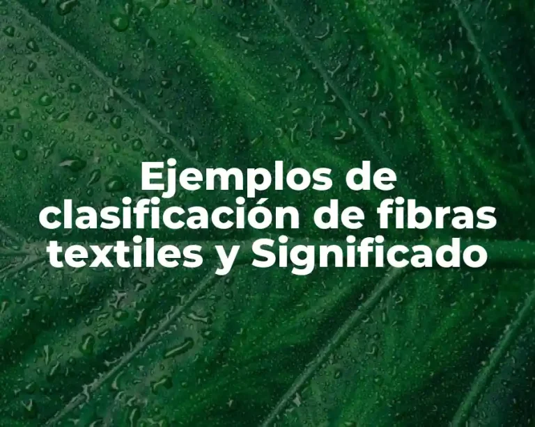 Ejemplos de clasificación de fibras textiles y Significado
