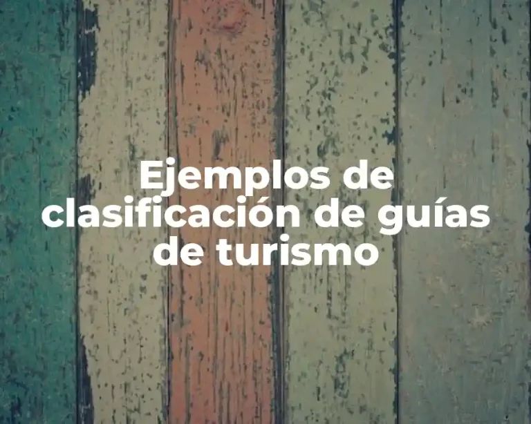 Ejemplos de clasificación de guías de turismo