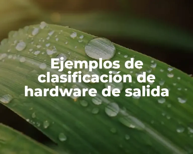 Ejemplos de clasificación de hardware de salida