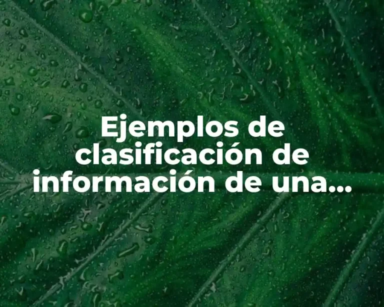 Ejemplos de clasificación de información de una organización