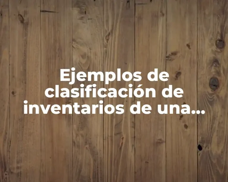 Ejemplos de clasificación de inventarios de una tienda de ropa y Significado