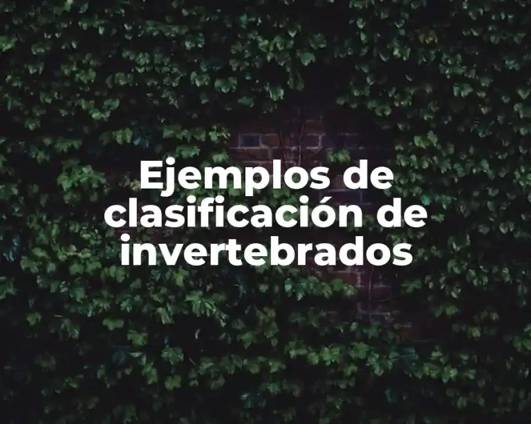 Ejemplos de clasificación de invertebrados