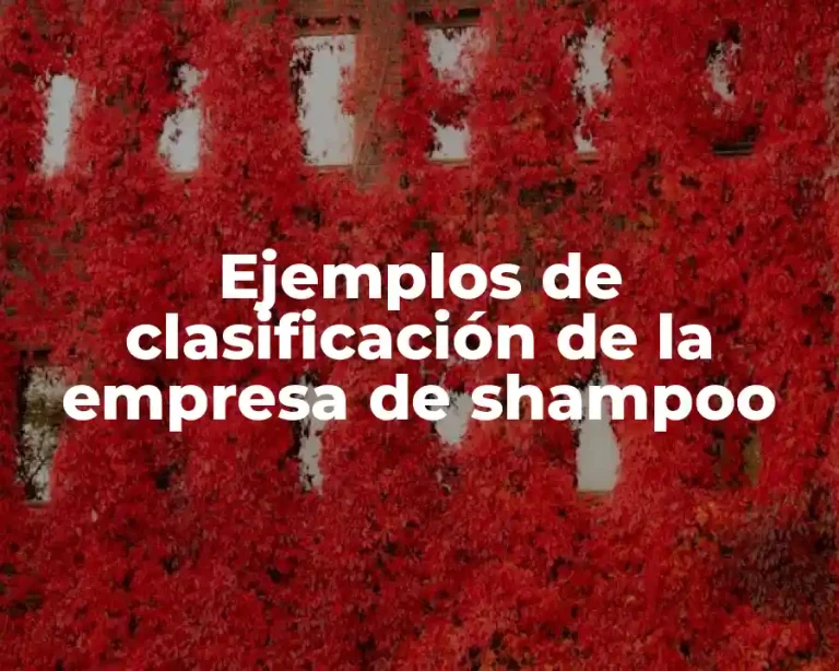 Ejemplos de clasificación de la empresa de shampoo