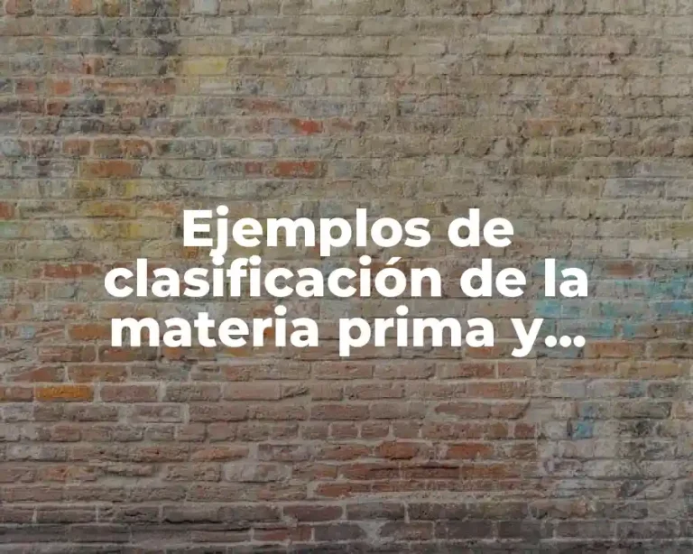 Ejemplos de clasificación de la materia prima y Significado