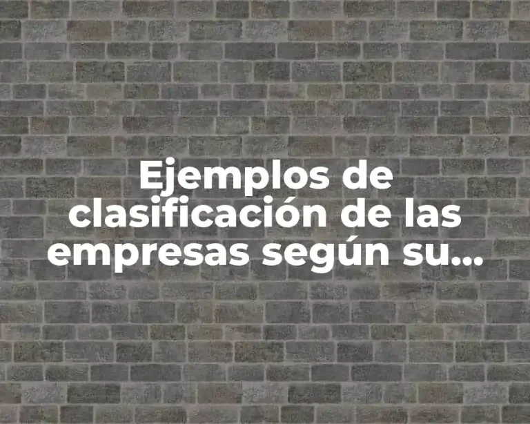 Ejemplos de clasificación de las empresas según su actividad y Significado