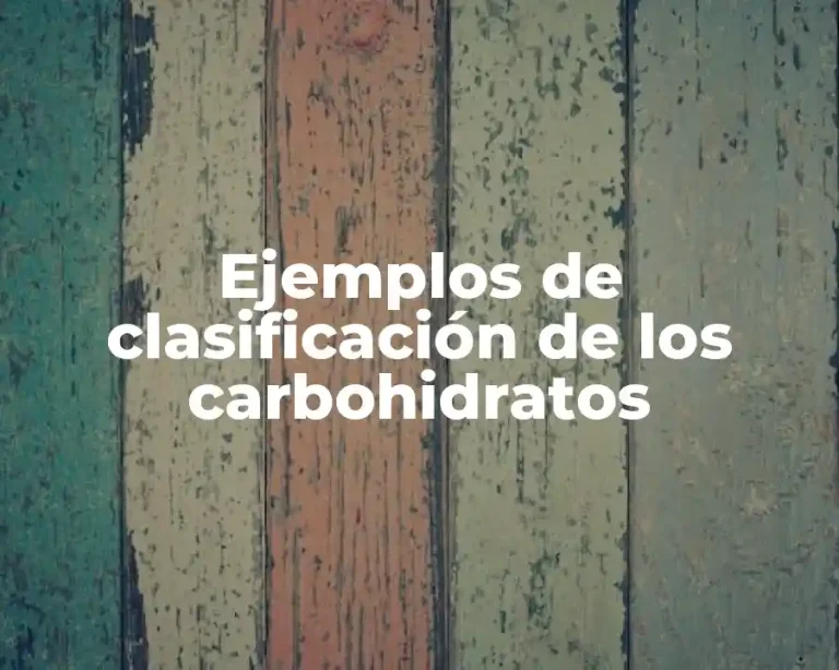 Ejemplos de clasificación de los carbohidratos