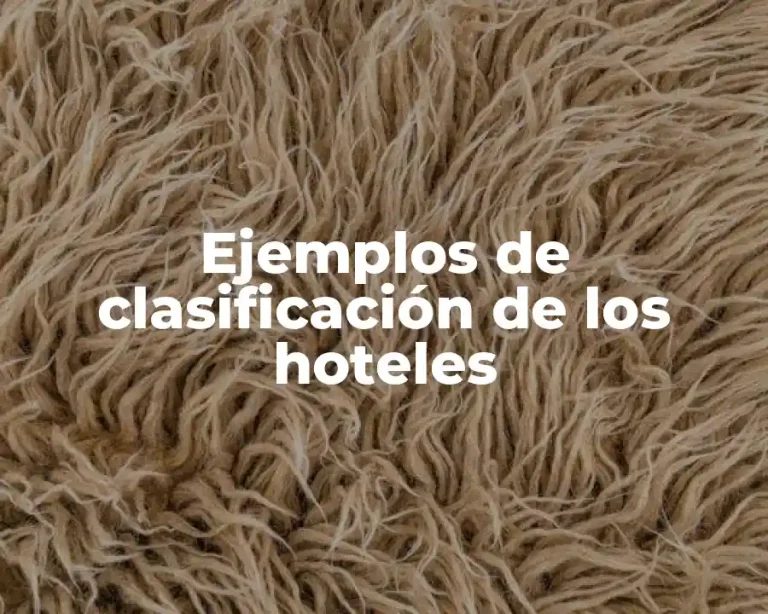 Ejemplos de clasificación de los hoteles