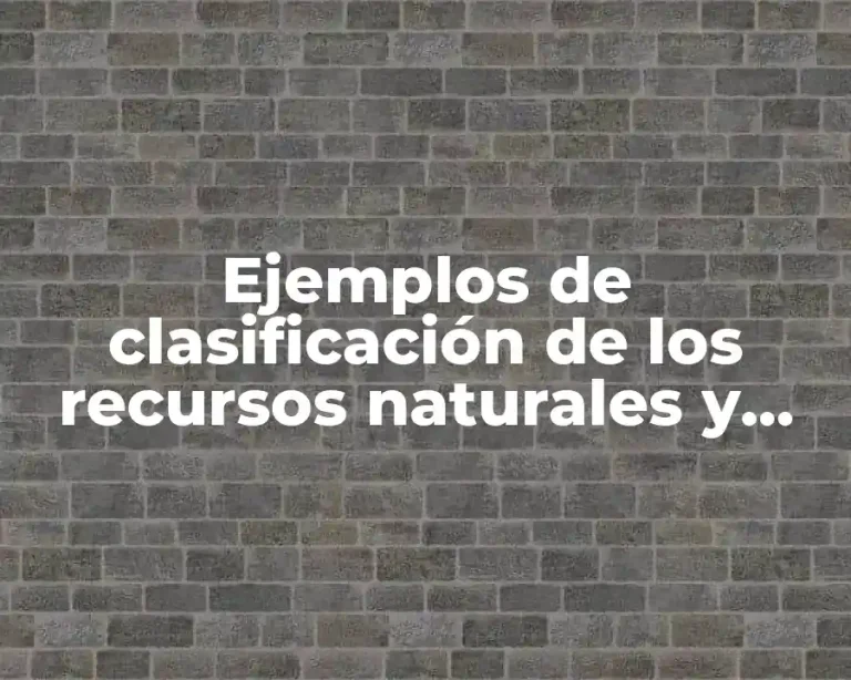 Ejemplos de clasificación de los recursos naturales y Significado