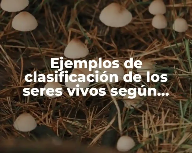Ejemplos de clasificación de los seres vivos según Linneo