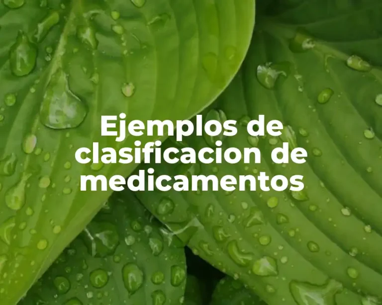 Ejemplos de clasificacion de medicamentos