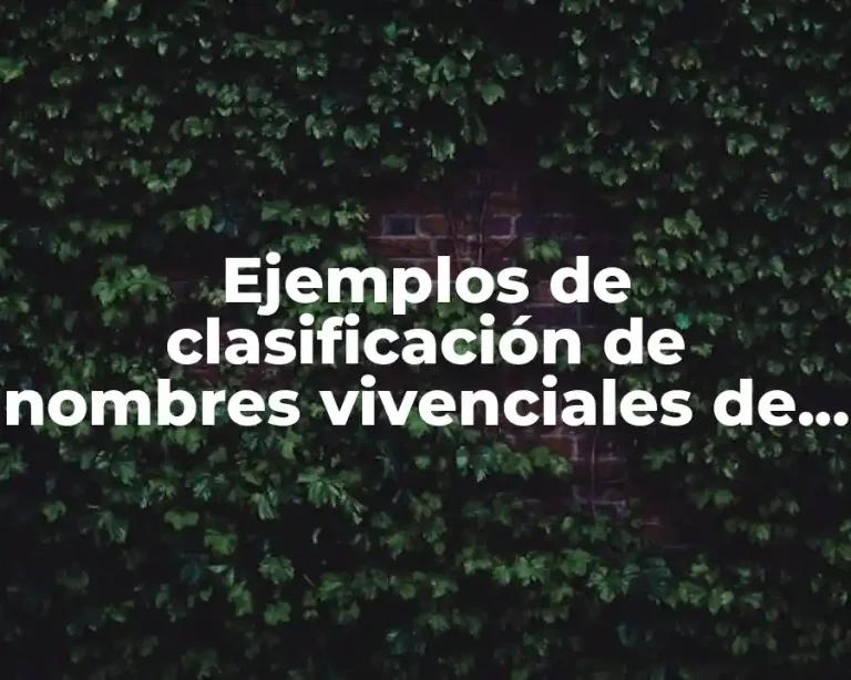 Ejemplos de clasificación de nombres vivenciales de marca