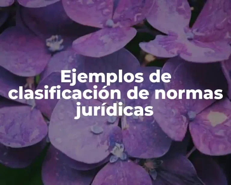 Ejemplos de clasificación de normas jurídicas