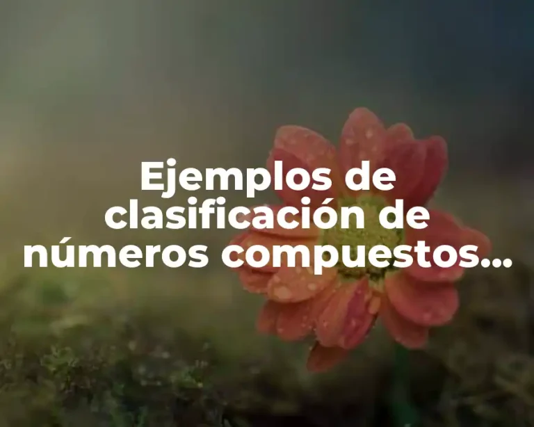 Ejemplos de clasificación de números compuestos fraccionarios y Significado