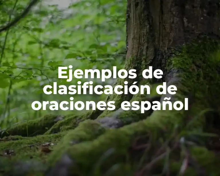 Ejemplos de clasificación de oraciones español