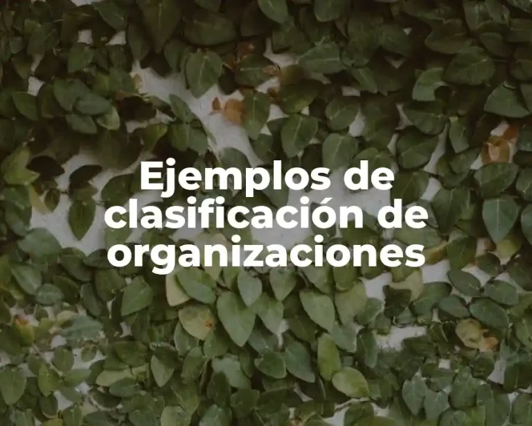 Ejemplos de clasificación de organizaciones