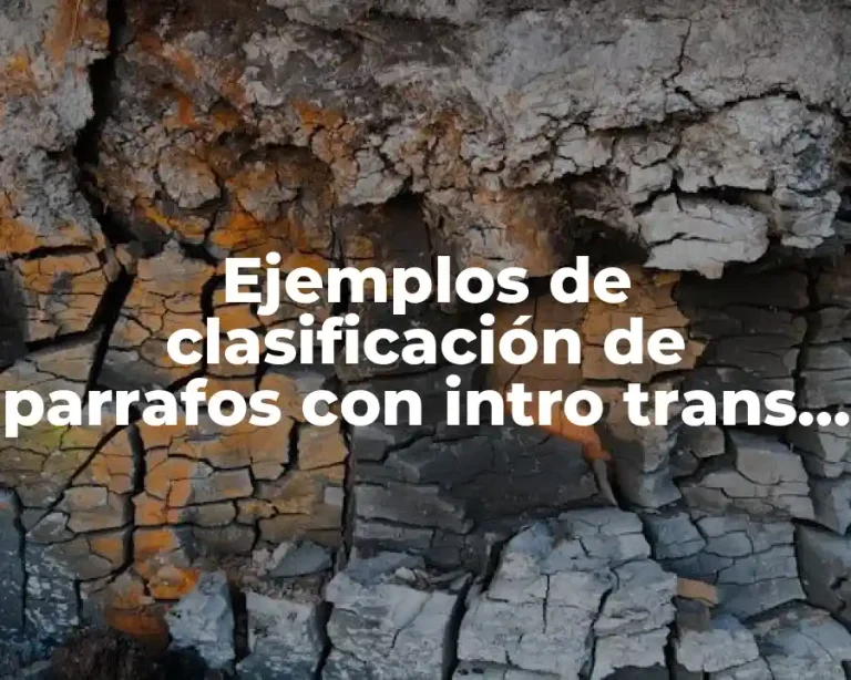 Ejemplos de clasificación de parrafos con intro trans y conclusión y Significado