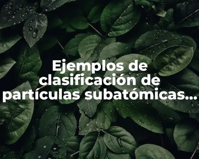 Ejemplos de clasificación de partículas subatómicas y Significado
