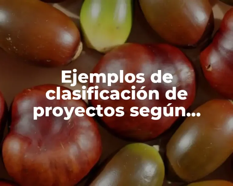 Ejemplos de clasificación de proyectos según caracter social