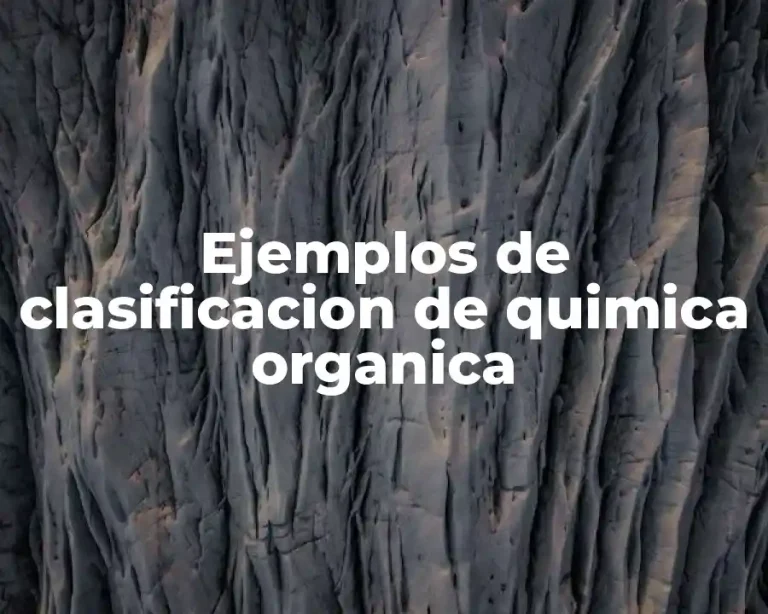 Ejemplos de clasificacion de quimica organica