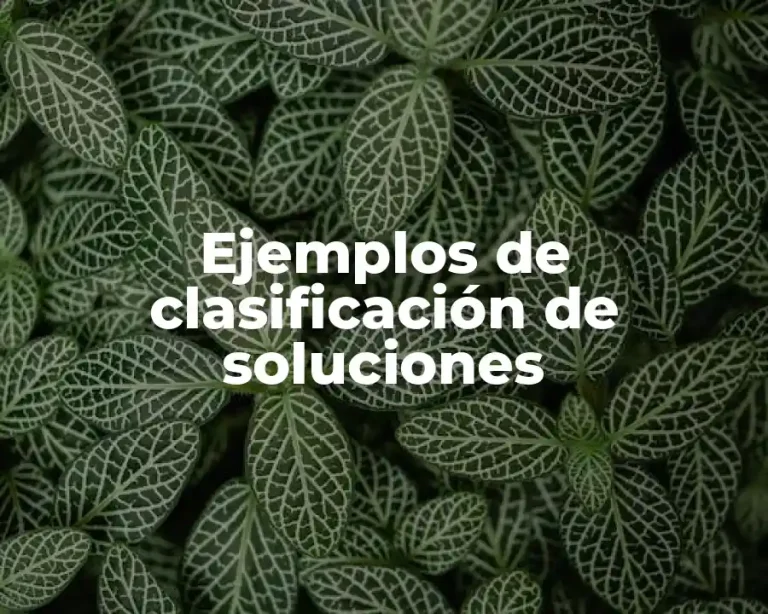 Ejemplos de clasificación de soluciones