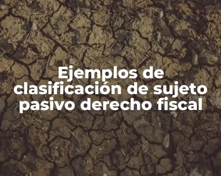 Ejemplos de clasificación de sujeto pasivo derecho fiscal