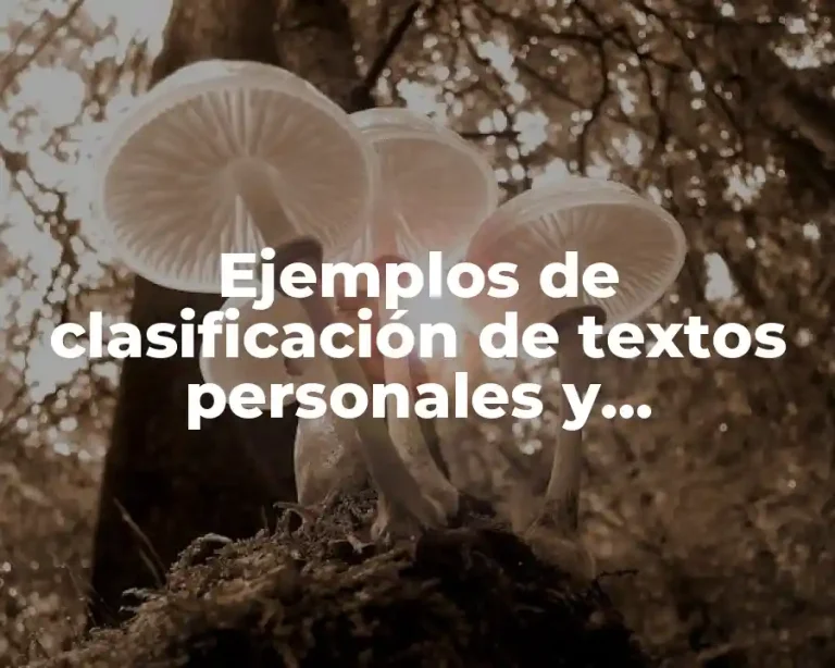 Ejemplos de clasificación de textos personales y Significado