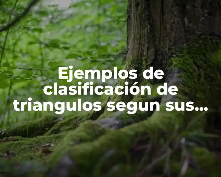 Ejemplos de clasificación de triangulos segun sus lados