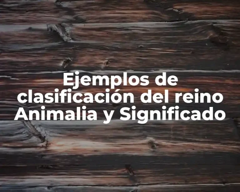 Ejemplos de clasificación del reino Animalia y Significado