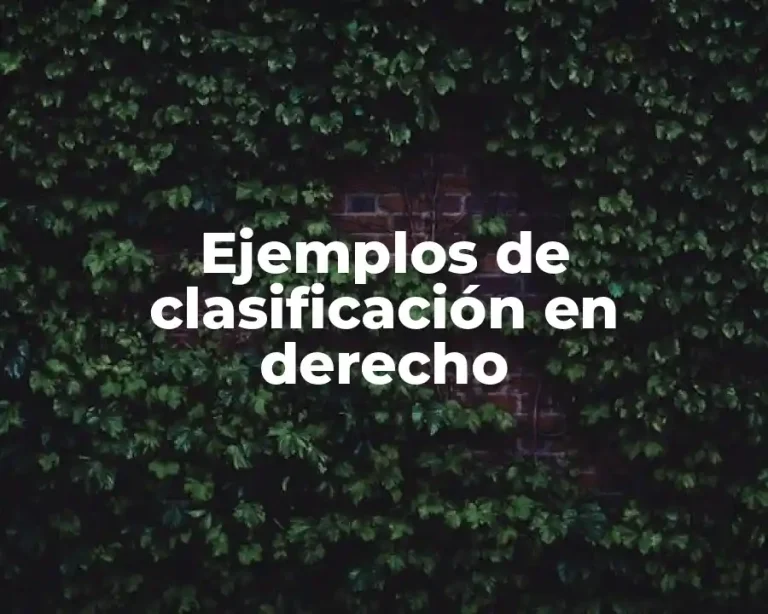 Ejemplos de clasificación en derecho