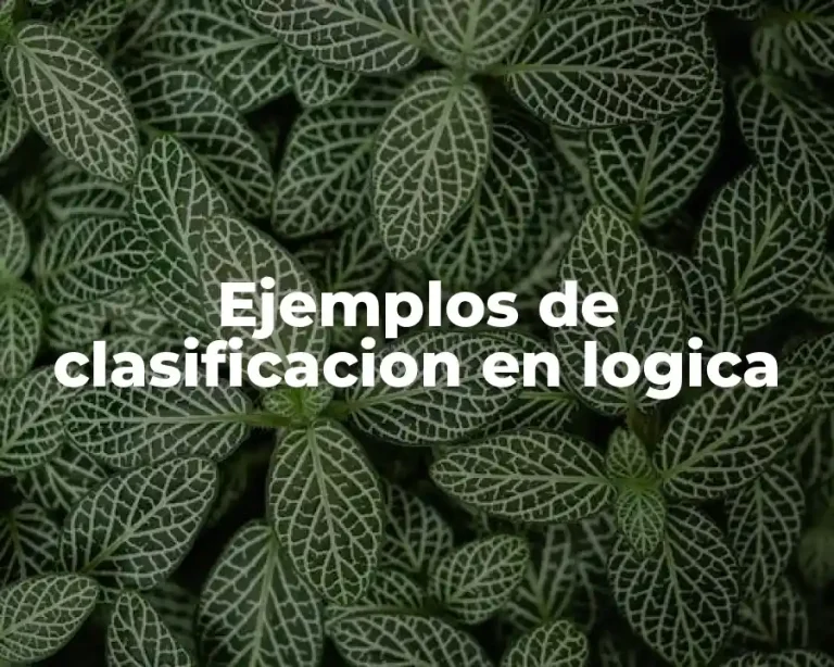 Ejemplos de clasificacion en logica