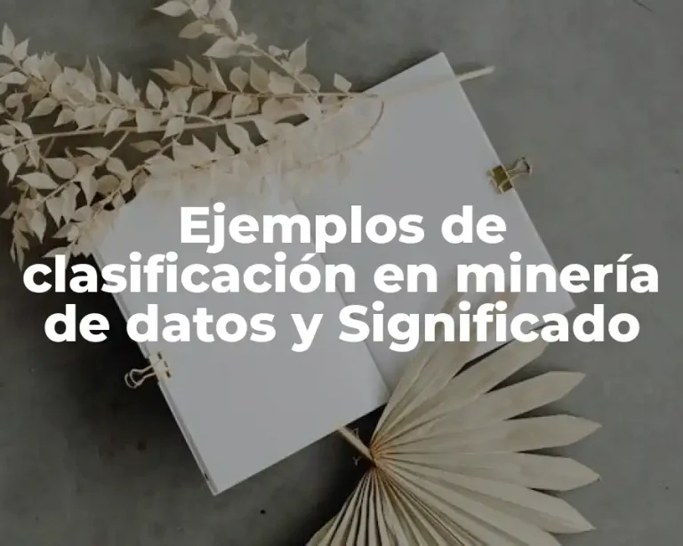 Ejemplos de clasificación en minería de datos y Significado