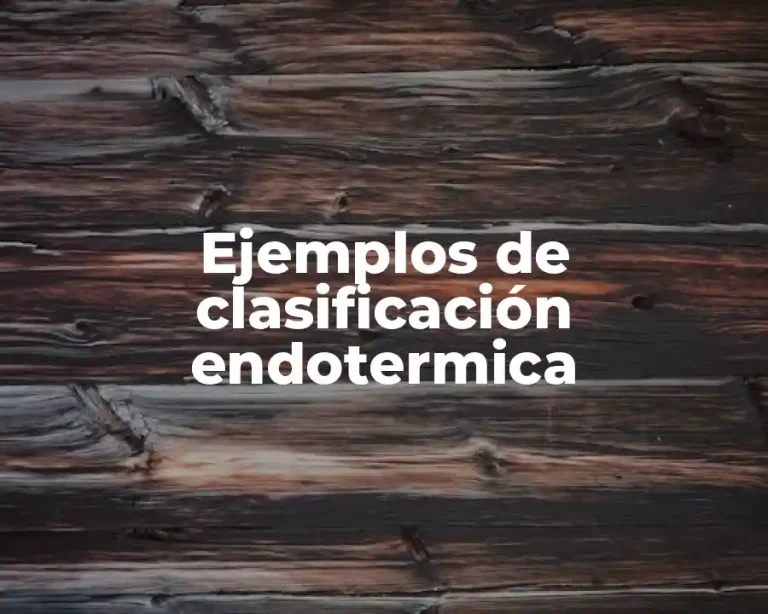 Ejemplos de clasificación endotermica