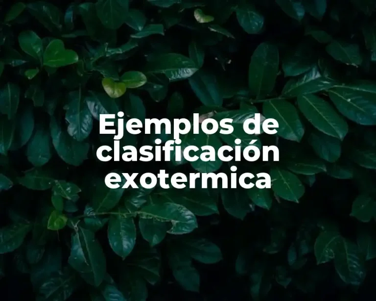 Ejemplos de clasificación exotermica